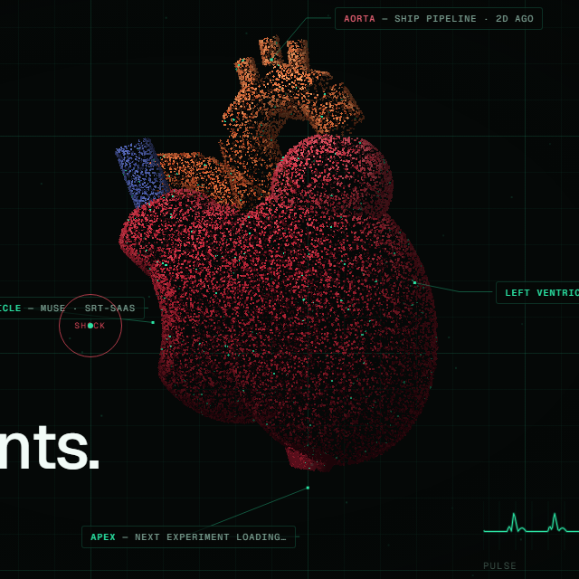 Pointillism anatomical heart — 30,000 cells
